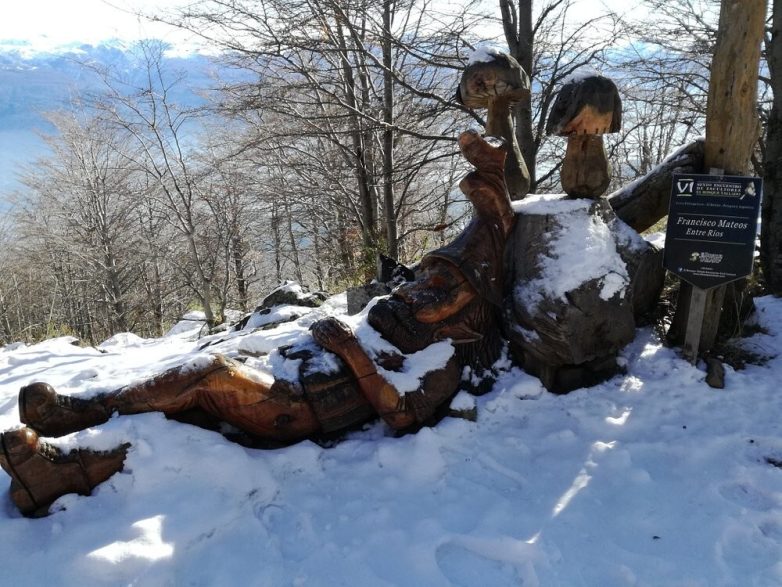 Лес скульптур, вдохнувших новую жизнь в мёртвые деревья