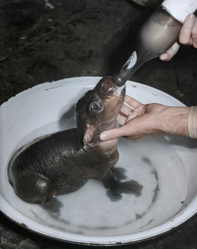 Исторические шедевры. Потрясно!