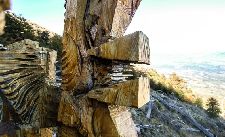 Лес скульптур, вдохнувших новую жизнь в мёртвые деревья