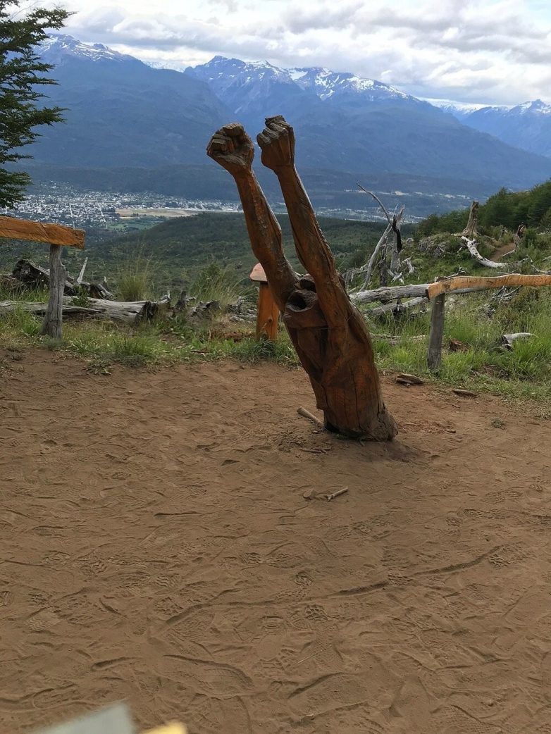 Лес скульптур, вдохнувших новую жизнь в мёртвые деревья