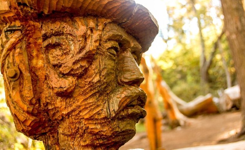 Лес скульптур, вдохнувших новую жизнь в мёртвые деревья