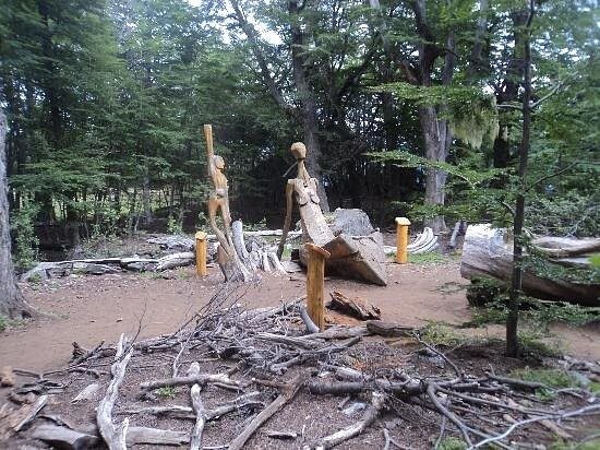 Лес скульптур, вдохнувших новую жизнь в мёртвые деревья