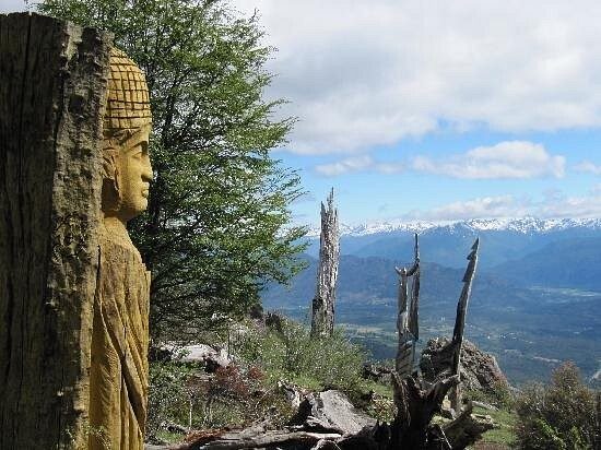 Лес скульптур, вдохнувших новую жизнь в мёртвые деревья