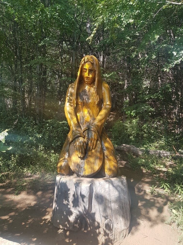 Лес скульптур, вдохнувших новую жизнь в мёртвые деревья