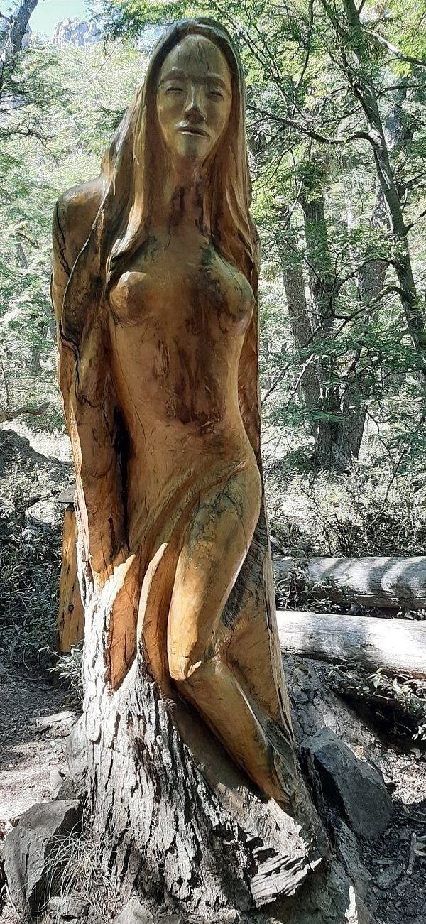 Лес скульптур, вдохнувших новую жизнь в мёртвые деревья