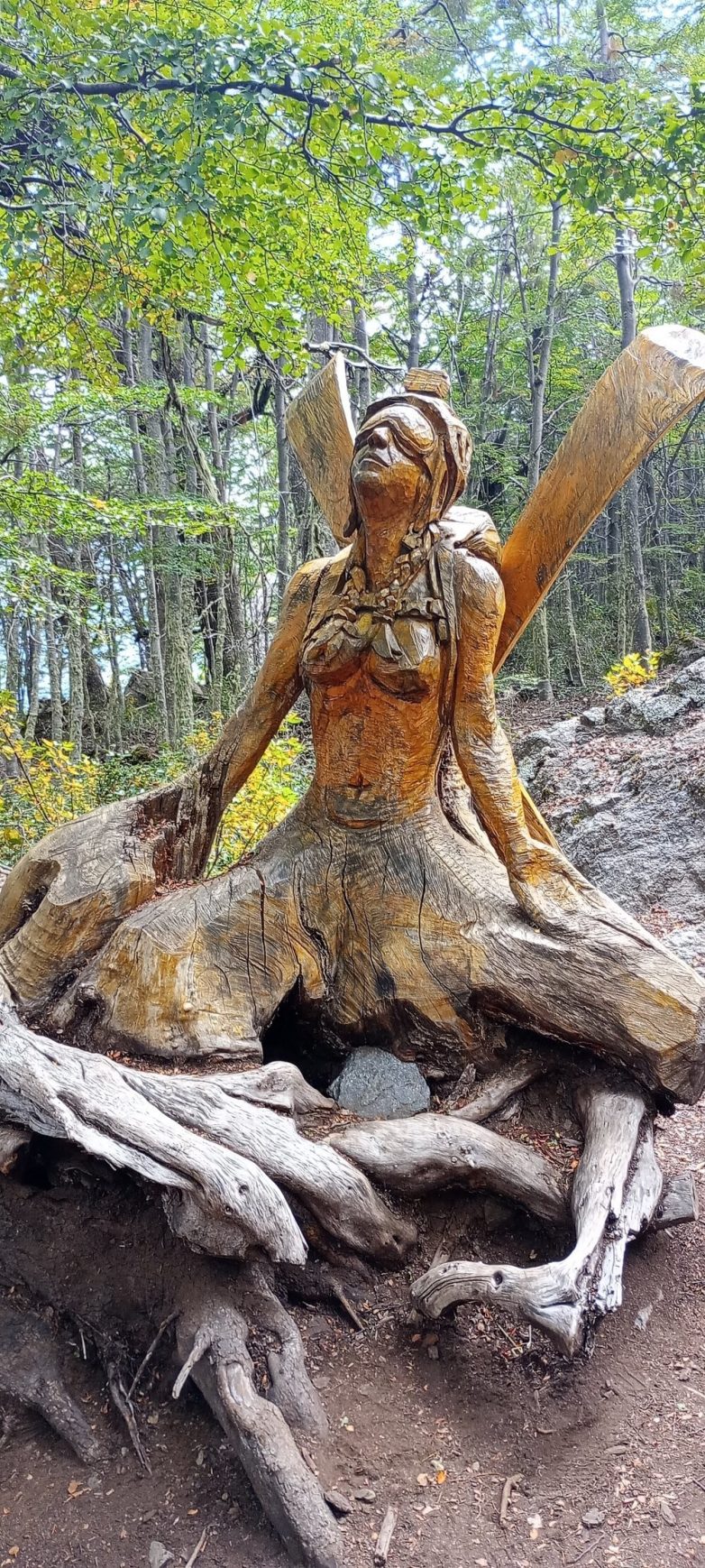 Лес скульптур, вдохнувших новую жизнь в мёртвые деревья