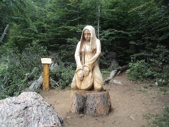 Лес скульптур, вдохнувших новую жизнь в мёртвые деревья