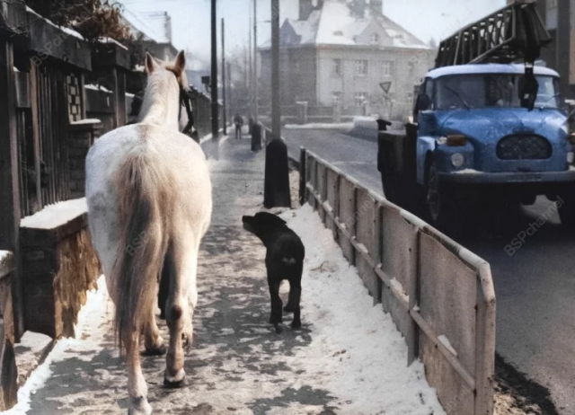 Исторические шедевры. Потрясно!