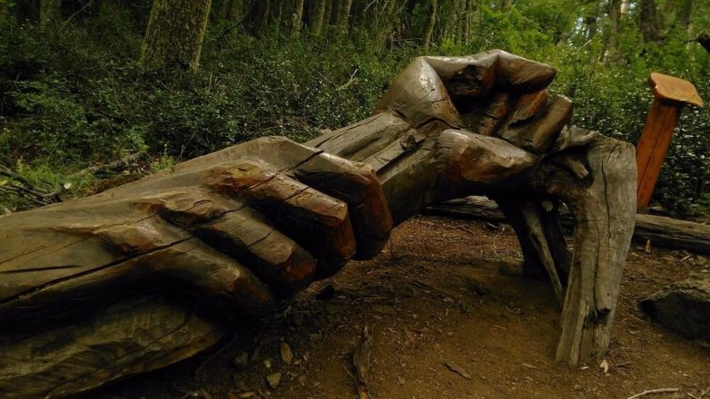 Лес скульптур, вдохнувших новую жизнь в мёртвые деревья