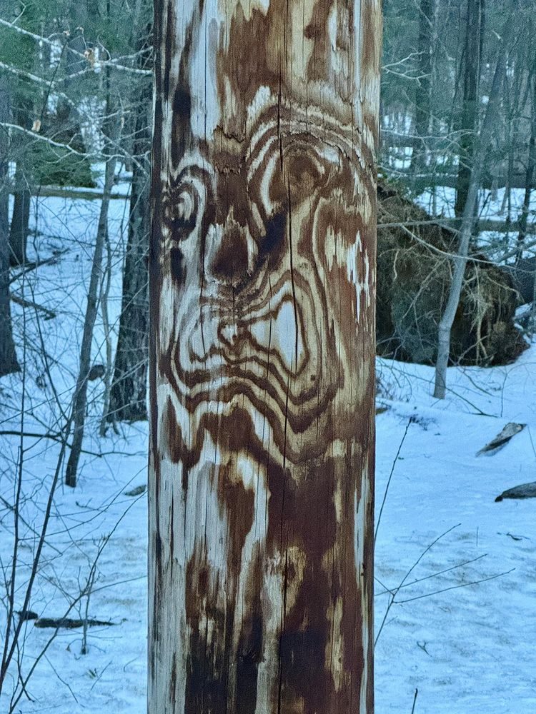 Мир полон сюрпризов: 17 фотографий, которые вас удивят