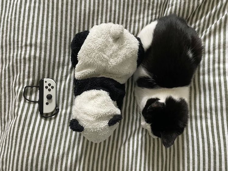 Мир полон сюрпризов: 17 фотографий, которые вас удивят