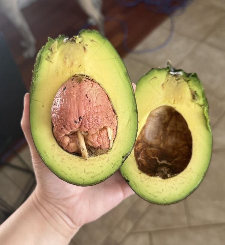 Мир полон сюрпризов: 17 фотографий, которые вас удивят