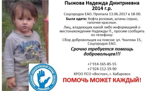 Пропавшая в ЕАО 3-летняя девочка до сих пор не найдена