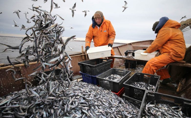 Для рыбаков могут ввести именные разрешения на улов
