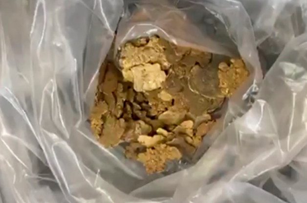 Сотрудник золотодобывающего рудника спрятал в лесу золота на 8,5 миллиона рублей