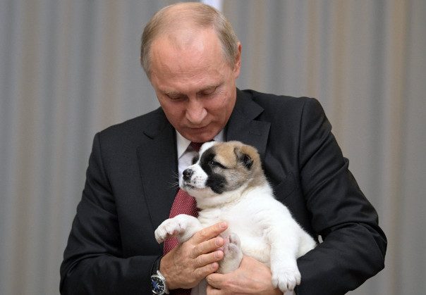 Путин поручил обеспечить учет домашних животных