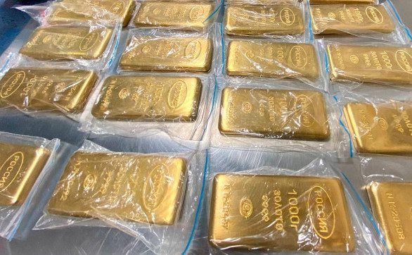 Во «Внуково» поймали контрабандистов, которые пытались вывезти 225 кг золота