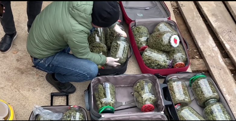 Полицейские обнаружили 18 кг марихуаны у россиянина на заднем дворе
