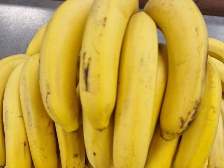 В ящиках с бананами обнаружили удивительный по размерам криминальный груз