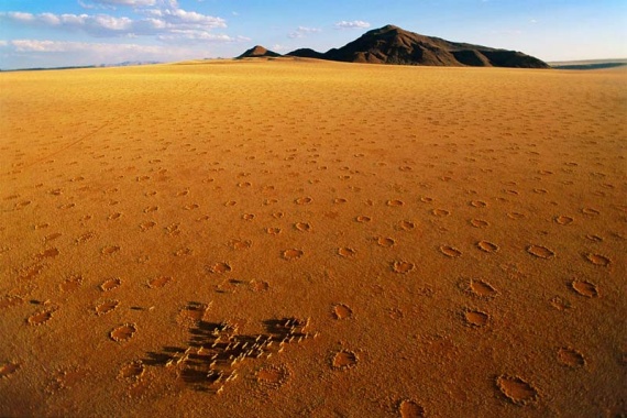 Загадка ведьминых кругов в Намибии