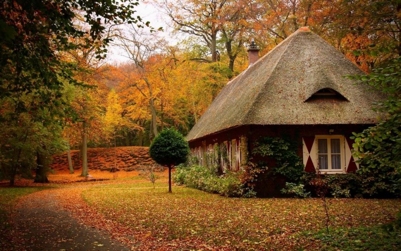 Очаровательные уютные лесные домики, которые лучше любой квартиры