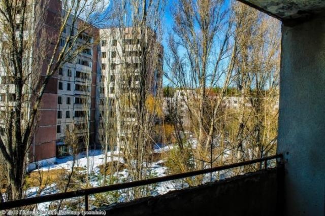 Зима, весна, лето и осень в Чернобыле
