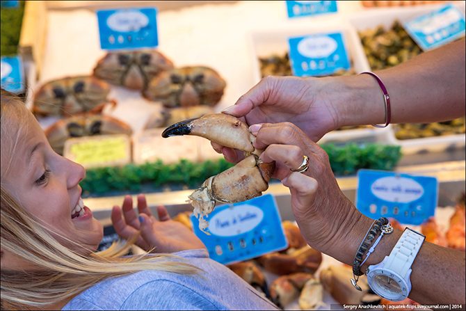Туризм гастрономический: рынок морепродуктов на берегах Ла-Манша