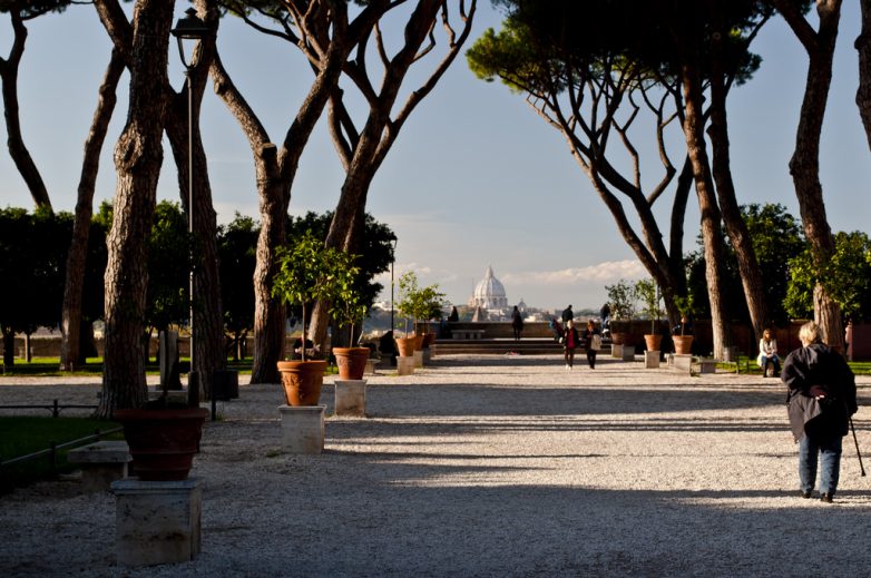 Сад апельсиновых деревьев в Риме