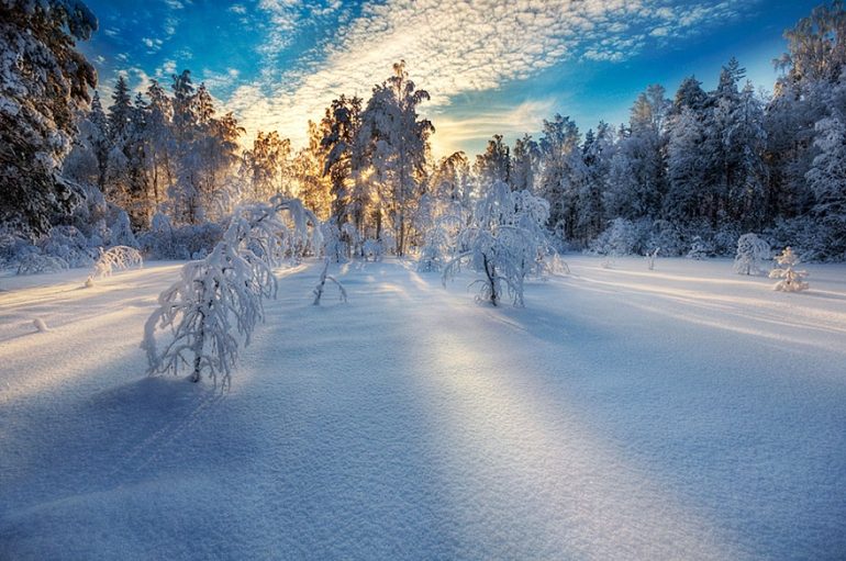 Дыхание зимы будто, создают, важно, воздушный, спячку, длинные, впечатление, наступила, вечная, Белый, отличные, животные, «декорации», отражающийся, солнечный, высоких, деревьев, великолепное, природы                  , Читать
