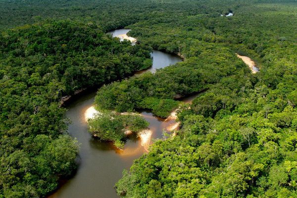 Виртуальная прогулка по джунглям Амазонки