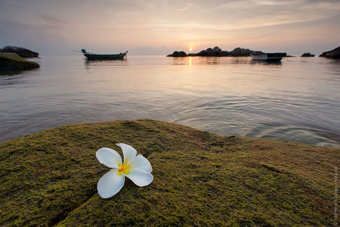 Ко Тао — уголок рая в Сиамском заливе