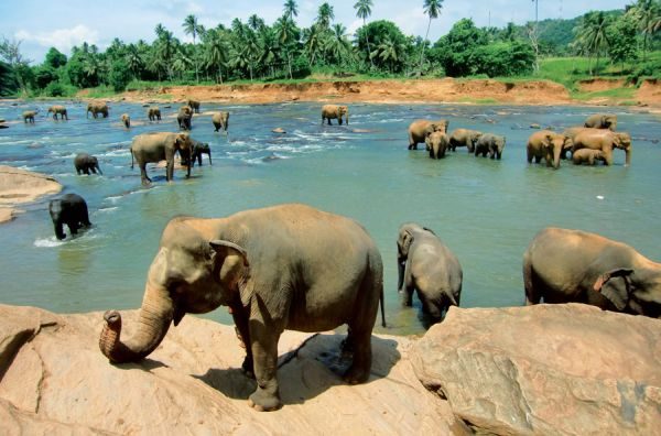 Маунт-Лавиния — райский курорт в Шри-Ланке