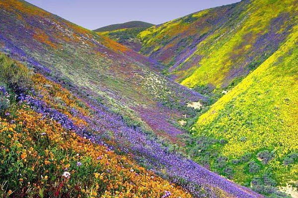 Рай на Земле: Долина Цветов