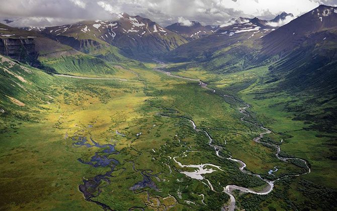 Дикая природа Аляски