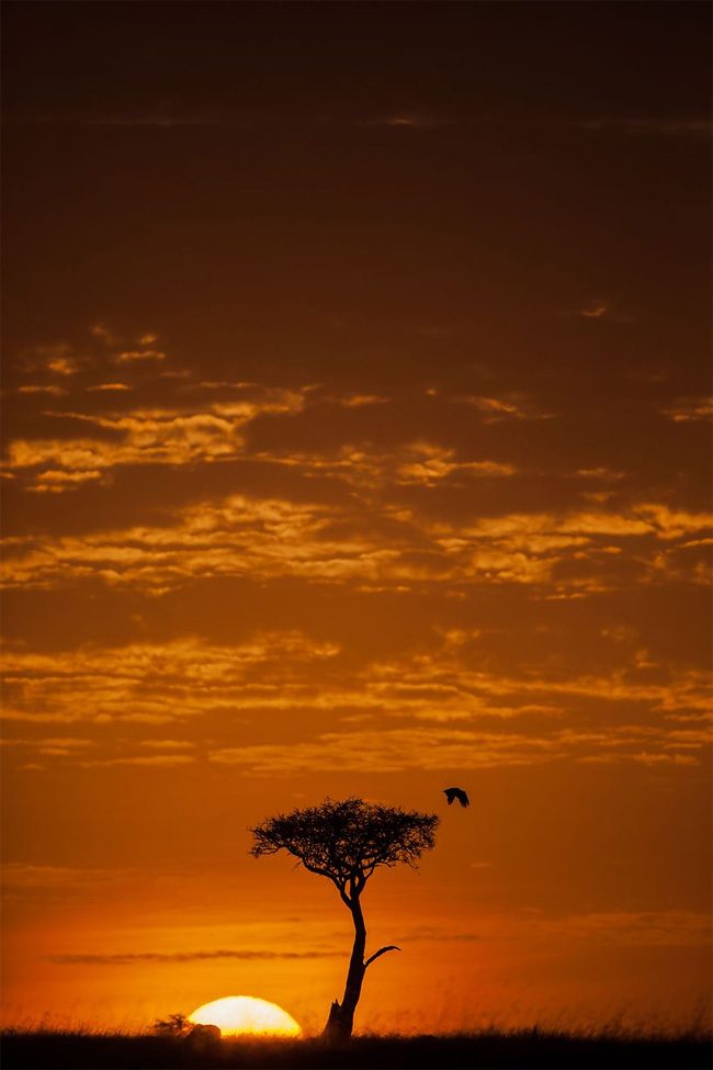 Феноменальные кенийские закаты