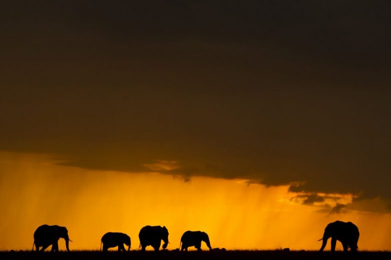 Феноменальные кенийские закаты