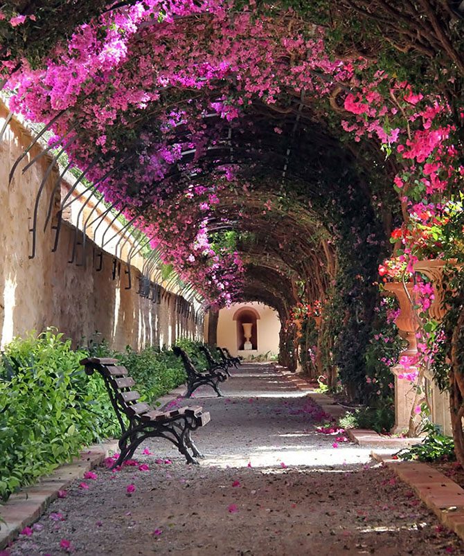 Виртуальная прогулка по самым романтичным улицам планеты, превращённым в живые тоннели