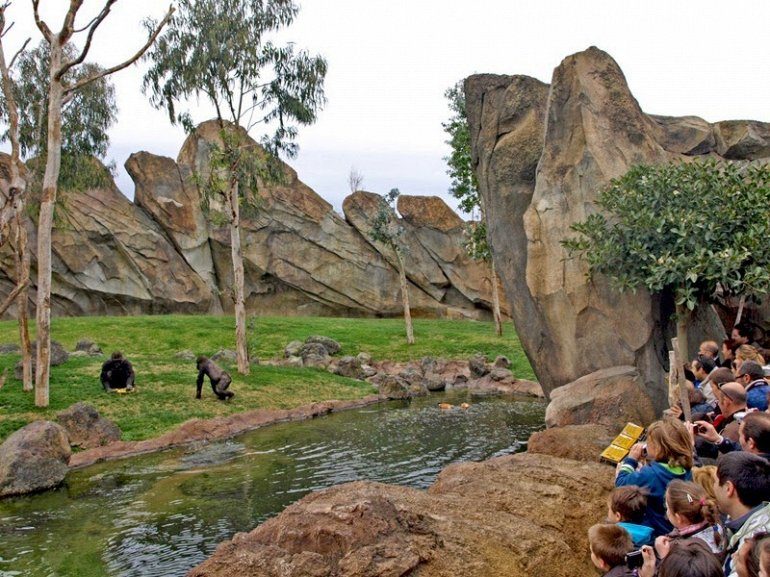 Интерактивный зоопарк в биопарке Валенсия