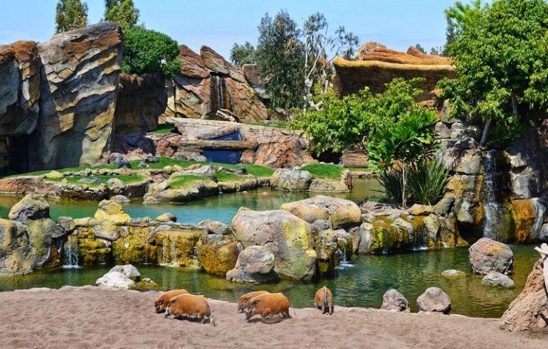 Интерактивный зоопарк в биопарке Валенсия