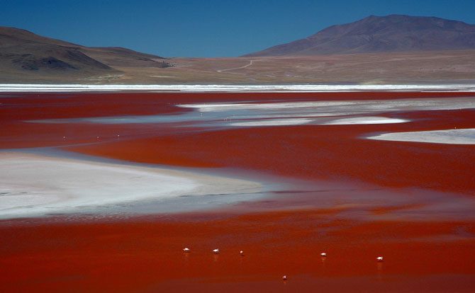 5 удивительных озёр планеты с необычным цветом воды