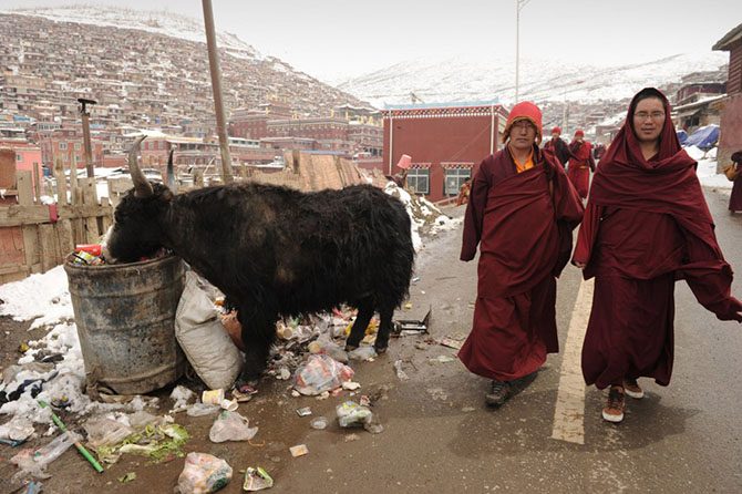 Уникальный монастырь в Тибете