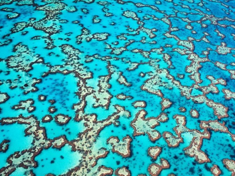 Великолепие Большого Барьерного рифа