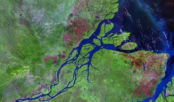Невероятные факты об Амазонке