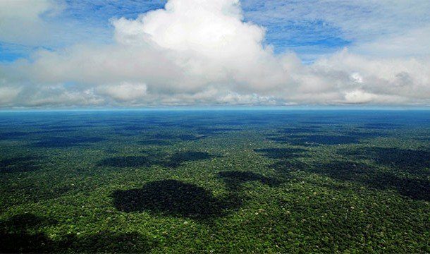 Невероятные факты об Амазонке