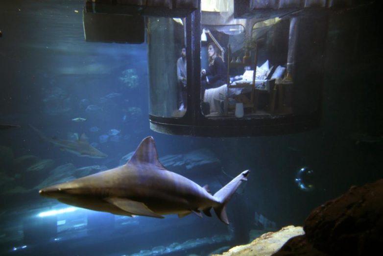 Подводная спальня, где можно переночевать с акулами