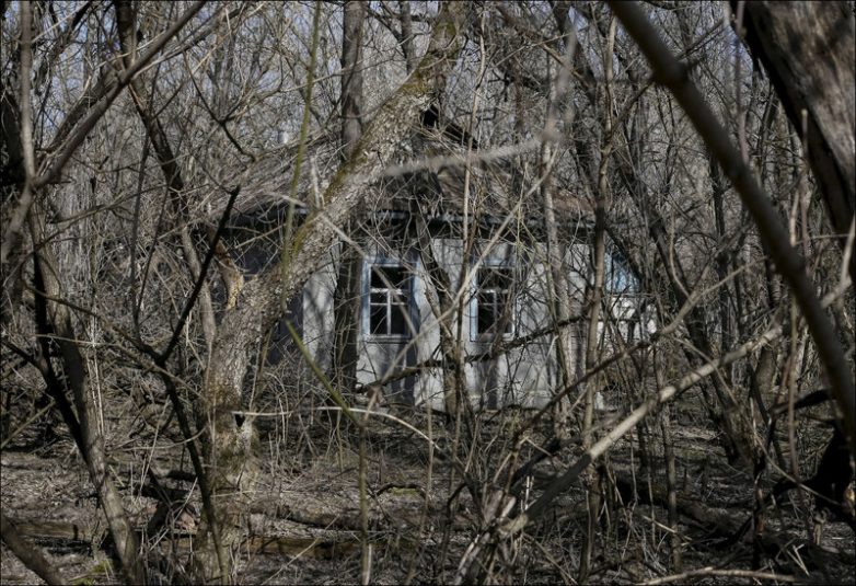 Закрытая Зона: Чернобылю 30 лет