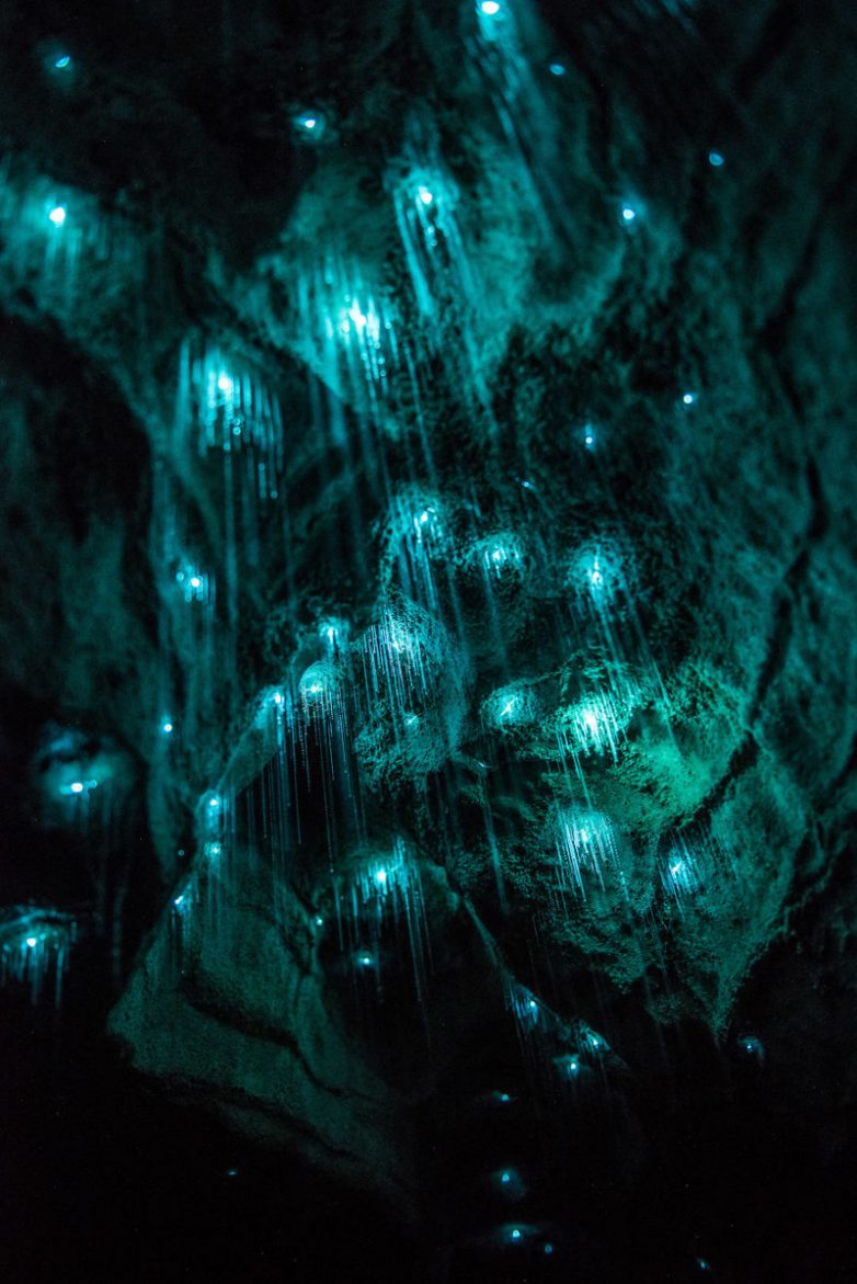 Звездная пещера светлячков