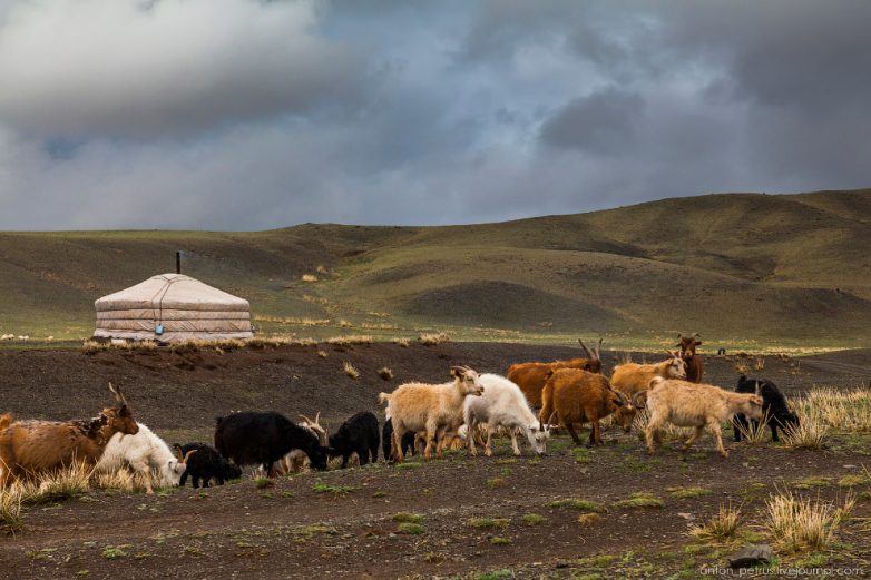 Монголия: суровый край кочевников
