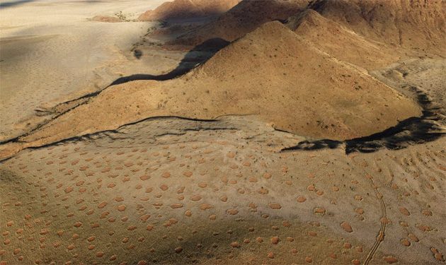 Самые популярные гипотезы происхождения &quot;Ведьминых колец&quot; посреди пустыни Намиб