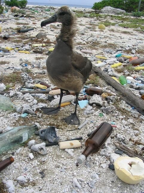 Гигантский мусорный остров Тихого океана